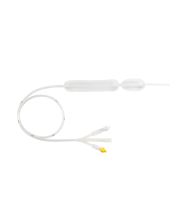 SONDA ESOF.SENGSTAKEN CREATE